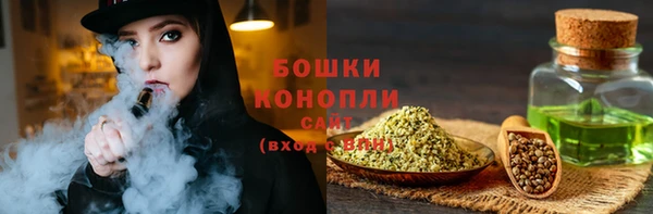 крисы Верхний Тагил